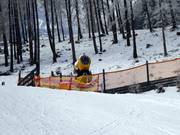 Snow-covered valley run