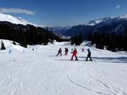 Easy slopes at the Caischavedra practice lift