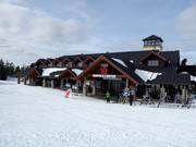 Gastronomy tip Restaurants Y1