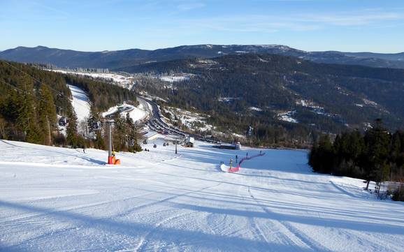 Slope offering Zwieseler Winkel – Slope offering Arber