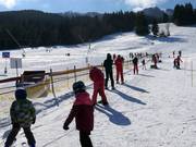 Übungslifte Kinderland - Rope tow/baby lift with low rope tow