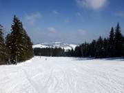 Wide and gentle slope in the upper section