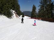 Easy slope 6 in the ski resort