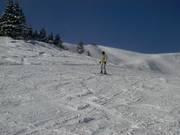 Slope in the upper part of Loveland Basin