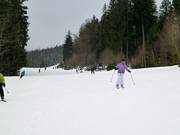 Family slope Geißkopf