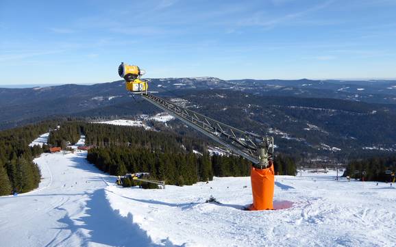 Snow reliability Zwieseler Winkel – Snow reliability Arber