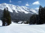 Easy slope Rabbit Flats