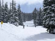Slope at the chairlift Great Western Express