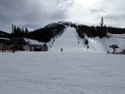 Lower section of the Väst run