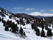 Accommodation in the forests along the slopes