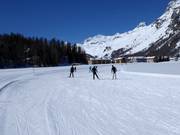 Cross-country trail at the Furtschellas valley station