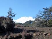 View of Mt. Ruapehu