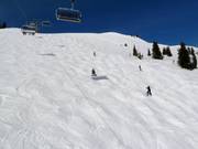 Mogul slope at Spieleck