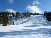 Slope 6 (Northern Slope)