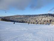 Slope and ski lift in Herzogsreut