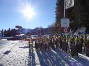 Toboggan run from the Obere Firstalm