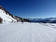 Start of the Doss dei Cembri slope