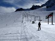 Daunferner I - T-bar