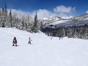 Easy slope at the Link chairlift