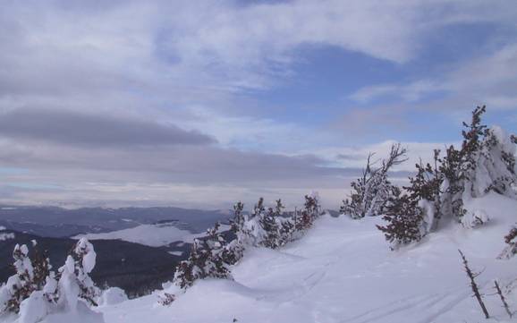 Highest ski resort on the Interior Plateau – ski resort Apex Mountain Resort