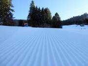 Very well-groomed slopes at the Waldrastlift