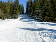 Gipfellift Todtnauberg - Rope tow/baby lift with low rope tow