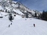 Easy slopes at the Chickadee chairlift