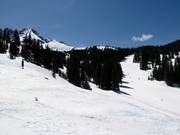 The slopes in the Prospect Bowl