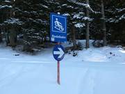 Tip for children  - See toboggan run