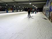 There are also obstacles in the beginner area.