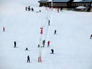 Patti broddgöltur - Rope tow/baby lift with low rope tow