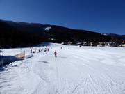 Beginner slope at the Bögrain lift