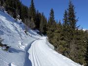 High-altitude trail Platschjoch