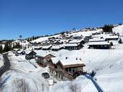 Log cabins with ski-in/ski-out