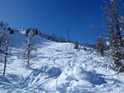 Deep powder slopes in the Taynton Bowl