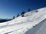 You can find some powder snow.