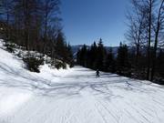 Easy slope Vodovodni