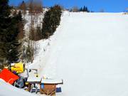 Westhanglift - T-bar