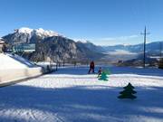 Magic Carpet Stiglreith