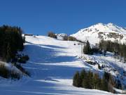 Waldalm slope with Waldalmbahn