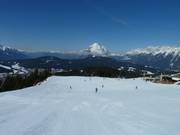 Easy slope at the level of the Murmelbau