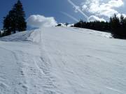 The challenging Kreuzlesteilhang slope