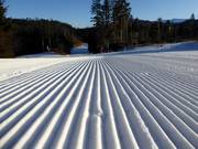 First-class slope grooming in the Lavarone ski area