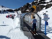 Happy Valley Carpet 1 - People mover/Moving Carpet with cover