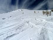 Endless powder slopes