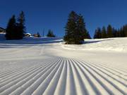 Freshly groomed slope in the ski resort of Spitzingsee-Tegernsee