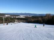 Easy slope at the Forsthauslift