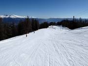 Easy Stockerboden run