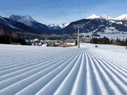 Freshly groomed Sonnenhang