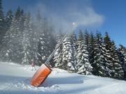 There are many snow guns in the ski resort.